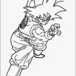 Imagen de Goku en posicipon de pelea p